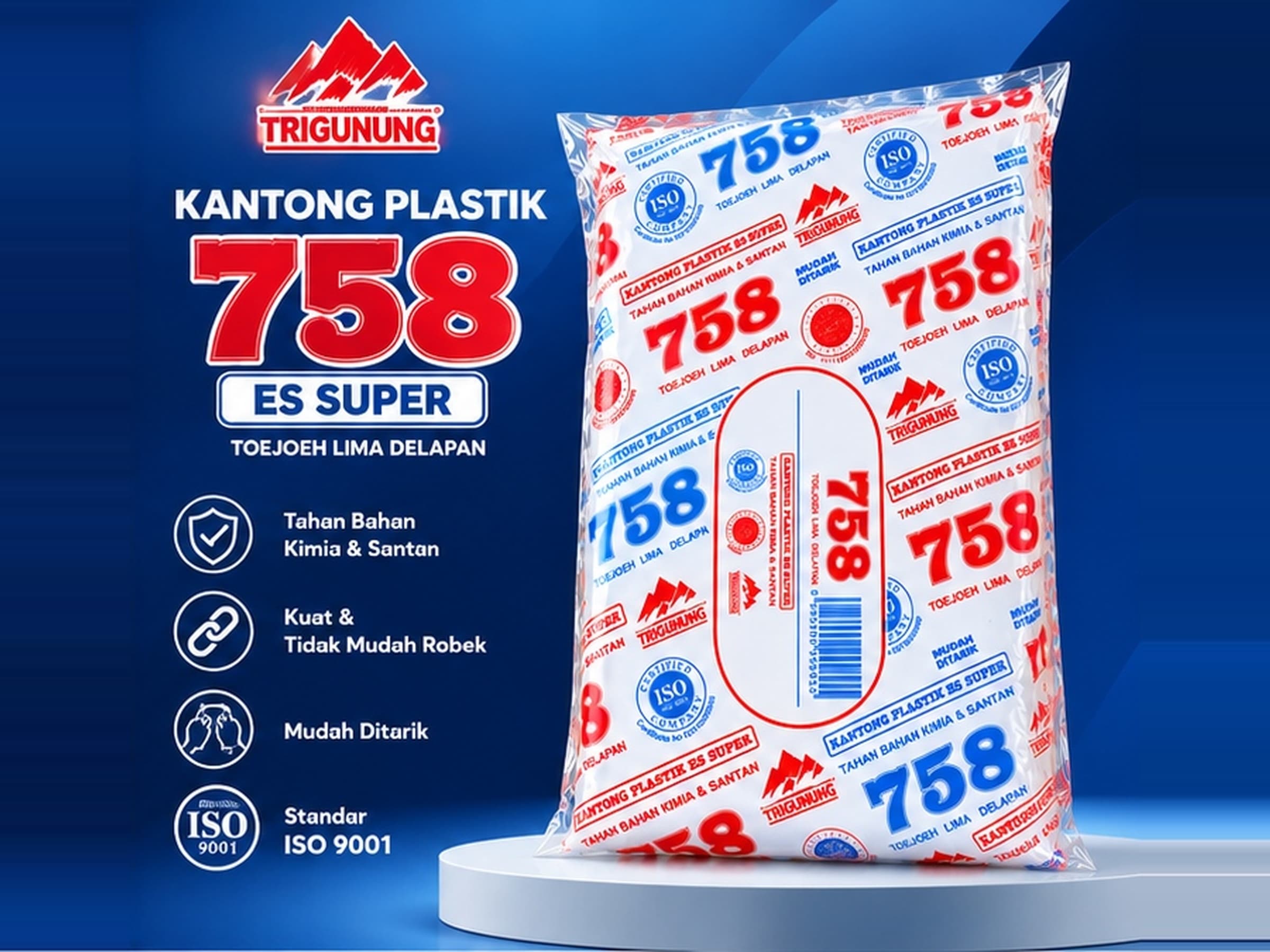 PE Plastic Bag 758