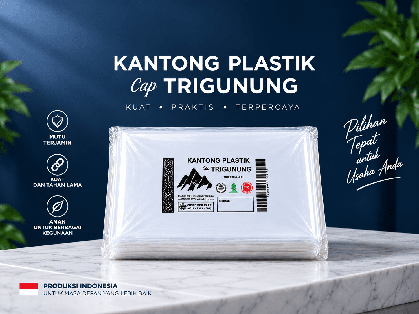 Trigunung PP Plastic Bags